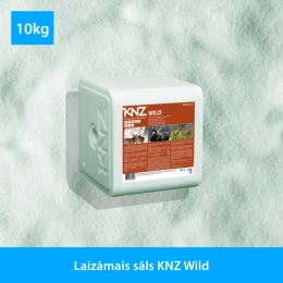 Laizāmais sāls